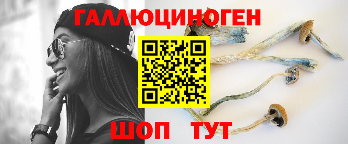 Псилоцибиновые грибы Psilocybe Москва